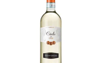 Nieuw! Cielo Pinot Grigio (wit, rosé en (Merlot) rood) in Sportcafé De Camp